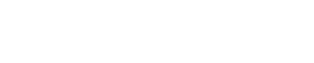 Novel Portal logo